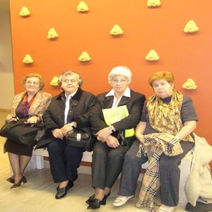 Gül Şahin, "Dokunduğum Kapılar" (2010)