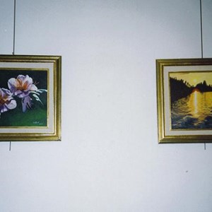 IV. Karma sergisi (2002)