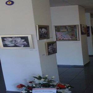 Ender İsot, "İstanbul Çiçekleri" Sergisi (2009)